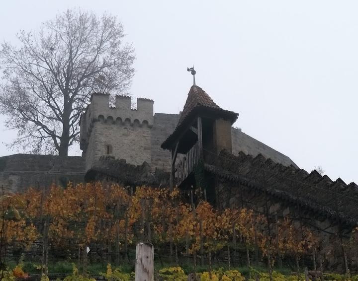 Mayers Burgrestaurant Hohenbeilstein